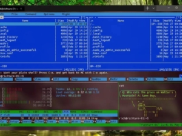 new windows terminal